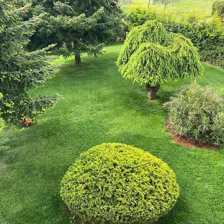 Apartman Casa Cino *