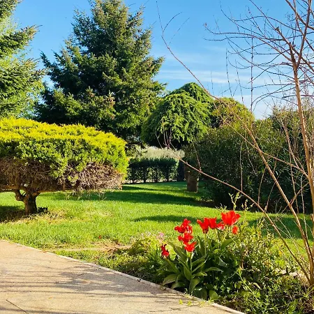 Casa Cino Апартаменты Умаг