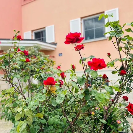 Casa Cino Апартаменты *