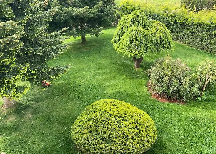 Apartman Casa Cino *