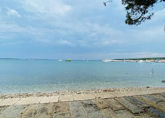 Casa Cino Apartman *