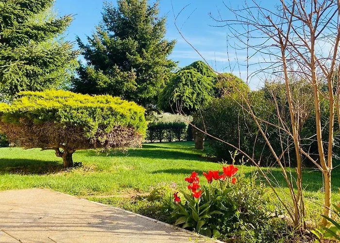 Casa Cino Apartman Umag