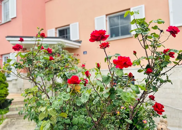 Casa Cino Apartman *